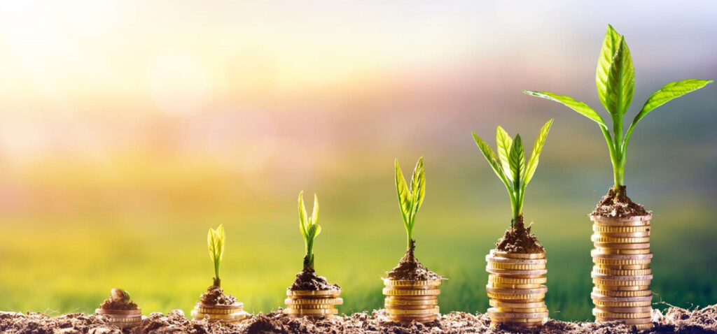 الدورة التدريبية حول “التحول الأخضر واقتصاديات الطاقة في العالم العربي: مسار للنمو والاستدامة”